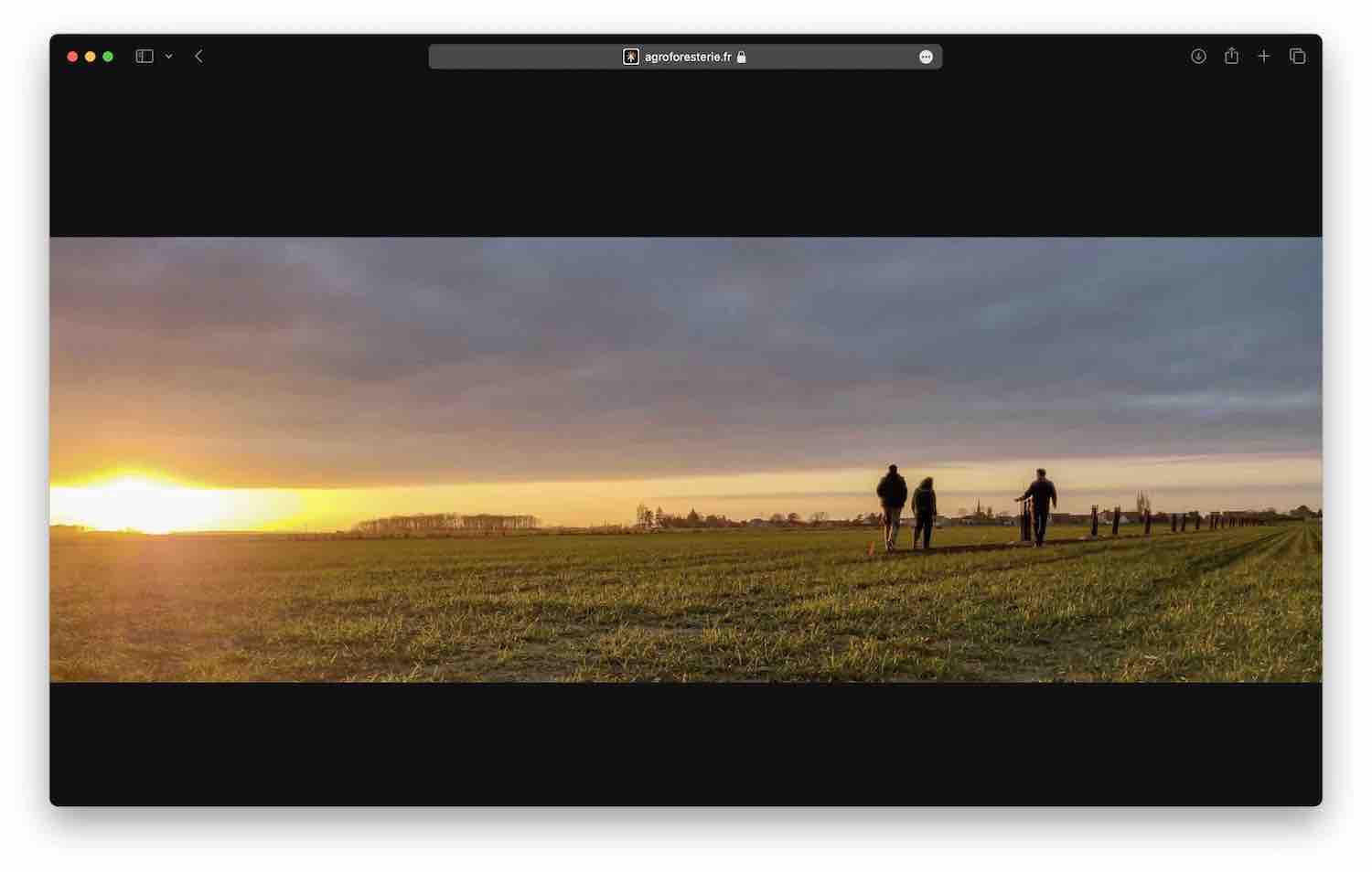 Site de l'Association Francaise d'Agroforesterie — Hans Zengler