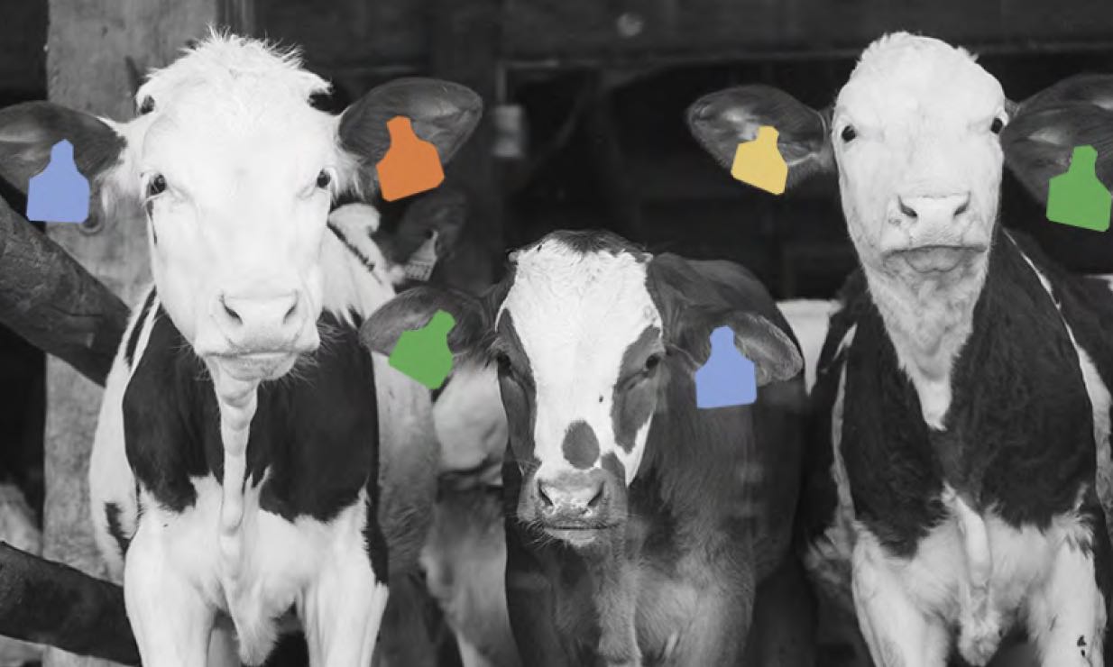 Site de l'Association Francaise d'Agroforesterie — Hans Zengler