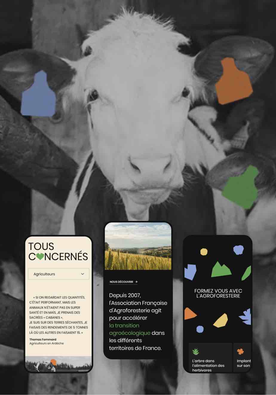 Site de l'Association Francaise d'Agroforesterie — Hans Zengler